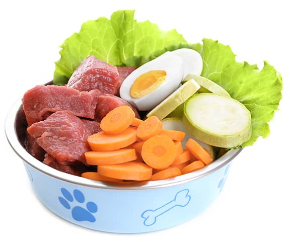 Farm Fresh Dog Food in a Dog Bowl